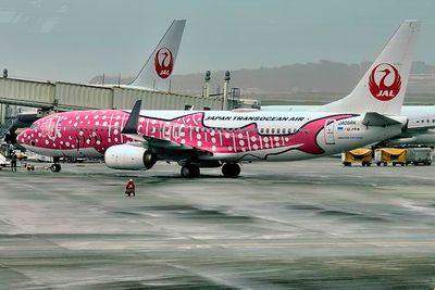 Japan Transoceanic Air, JTA, B-737/800, JA06RK, Pink Whalwshark