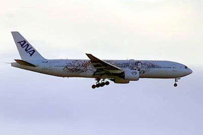 ANA Boeing B-777/300, Disney Tribute