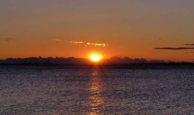 Rising Sun 2024, Tokyo Bay