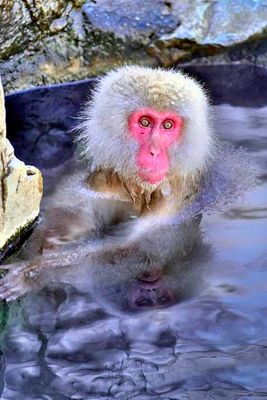 Hot Bath, So GoodI!