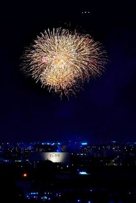 Daily Fireworks Over Tokyo Disneyland