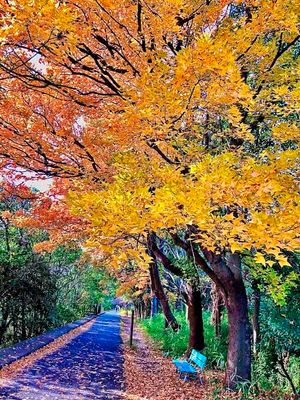 Autumn, Bird Park