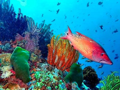 Philippines