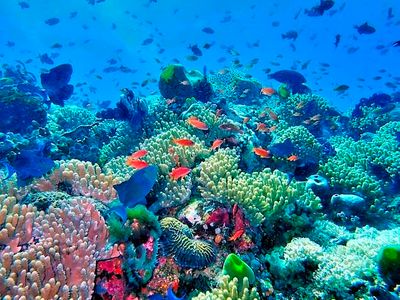 Philippines