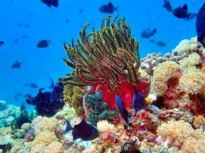 Philippines
