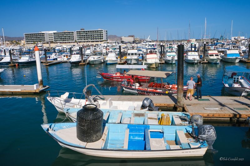 DSCF6597.jpg