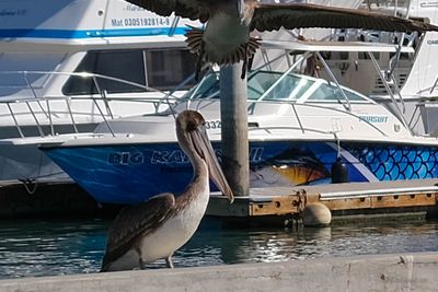 DSCF5768.jpg