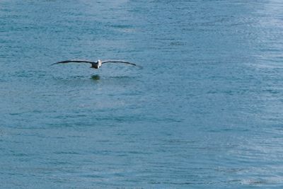 DSCF5771.jpg