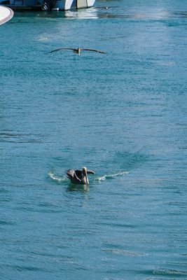 DSCF5773.jpg