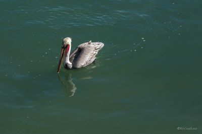 DSCF5778.jpg