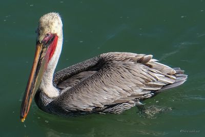 DSCF5779.jpg