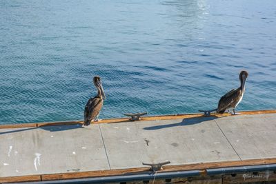 DSCF5815.jpg
