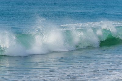 DSCF5833.jpg