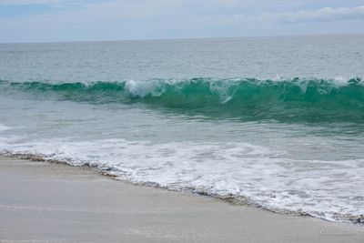 DSCF5854.jpg