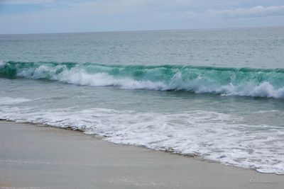 DSCF5855.jpg