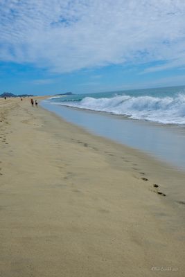 DSCF5858.jpg