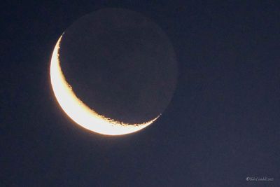 DSCF5876.jpg
