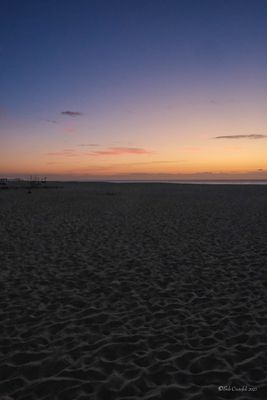 DSCF5881.jpg