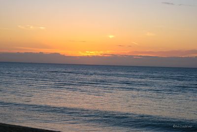 DSCF5900.jpg