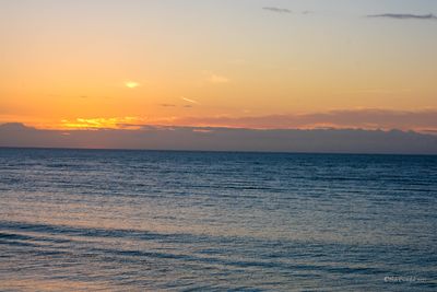 DSCF5901.jpg