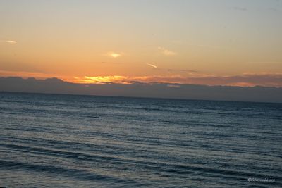 DSCF5902.jpg