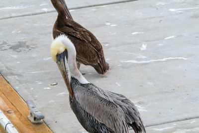 DSCF5919.jpg