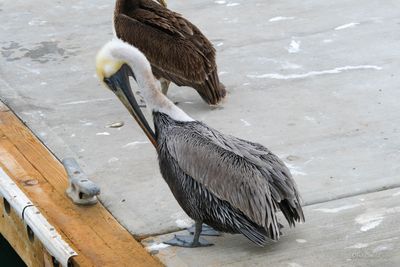 DSCF5920.jpg