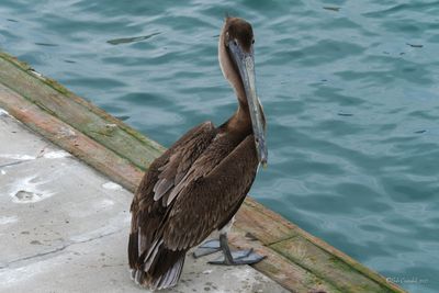 DSCF5921.jpg