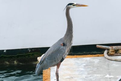 DSCF5931.jpg