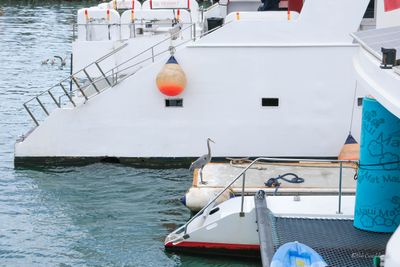 DSCF5933.jpg
