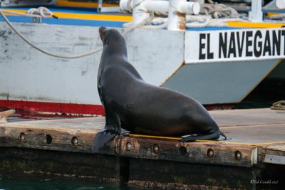 DSCF5940.jpg
