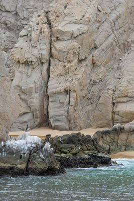 DSCF5979.jpg