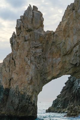 DSCF6024.jpg