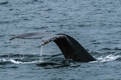 DSCF6051.jpg