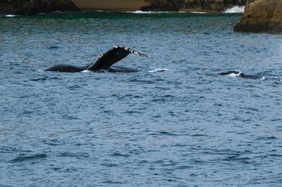 DSCF6057.jpg