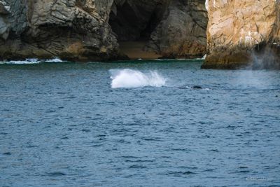 DSCF6059.jpg