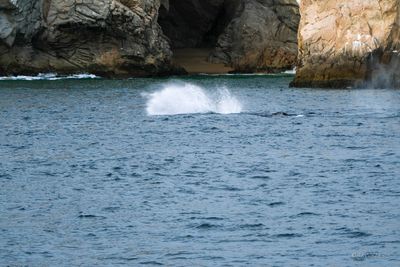 DSCF6060.jpg