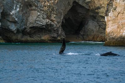 DSCF6064.jpg