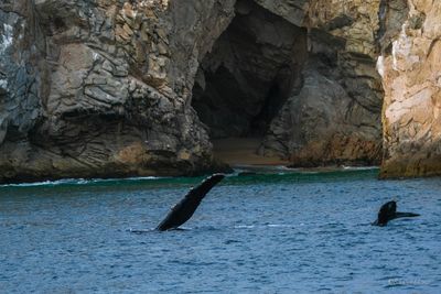 DSCF6068.jpg