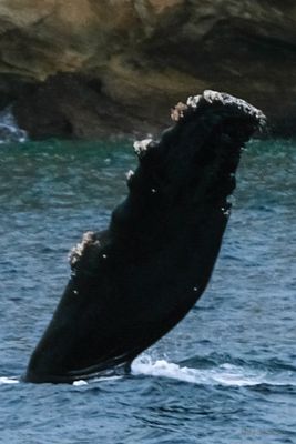 DSCF6072.jpg