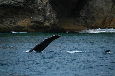 DSCF6073.jpg