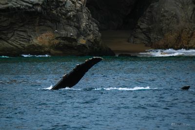 DSCF6074.jpg