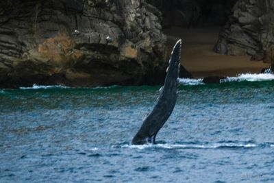 DSCF6076.jpg