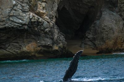 DSCF6080.jpg