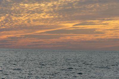 DSCF6098.jpg