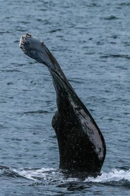 DSCF6110.jpg