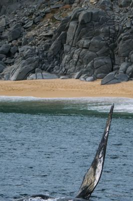 DSCF6112.jpg