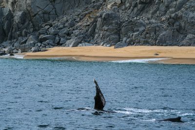 DSCF6114.jpg