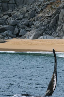 DSCF6117.jpg