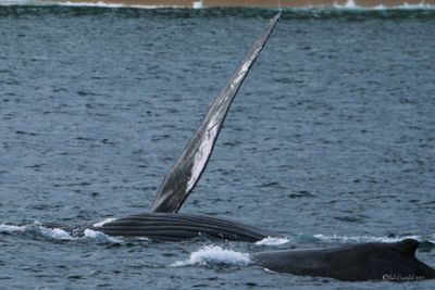 DSCF6128.jpg